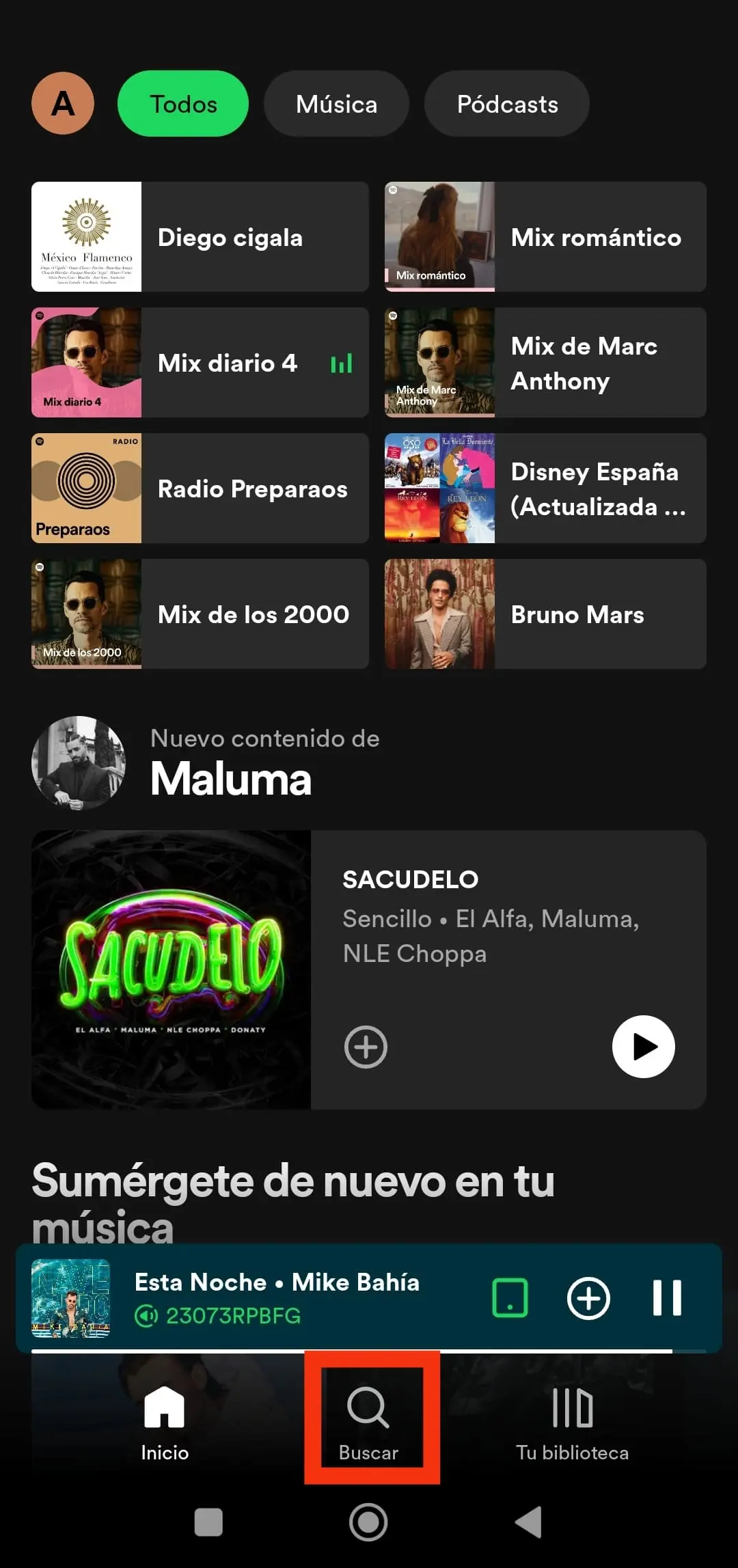 Descargar playlist Spotify