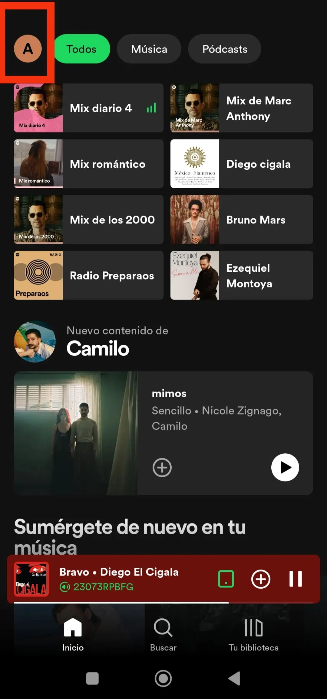 Descargar playlist  Spotify Premium 